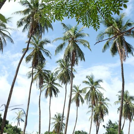Centre Touristique Et Culturel Casamance Guest House Diakene Ouolof Екстериор снимка