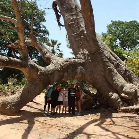 Centre Touristique Et Culturel Casamance Guest House Diakene Ouolof Екстериор снимка