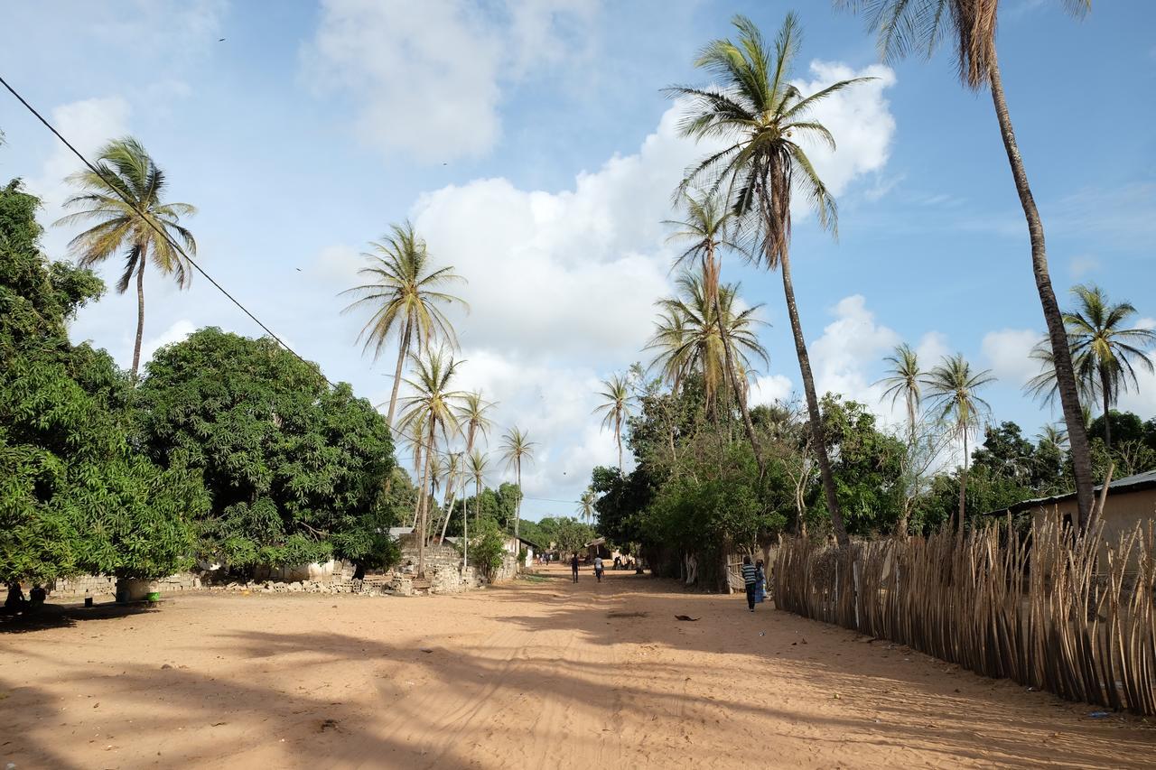 Centre Touristique Et Culturel Casamance Guest House Diakene Ouolof Екстериор снимка