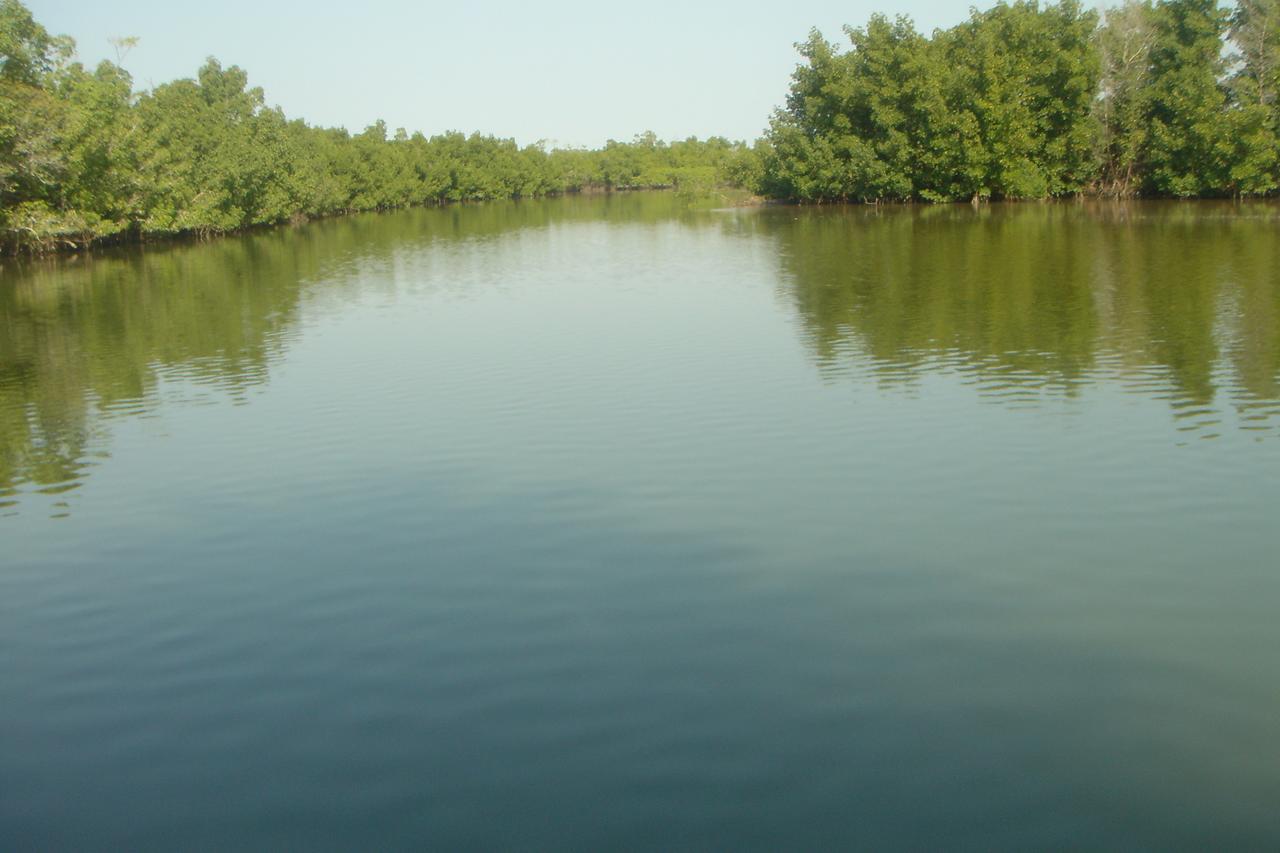 Centre Touristique Et Culturel Casamance Guest House Diakene Ouolof Екстериор снимка