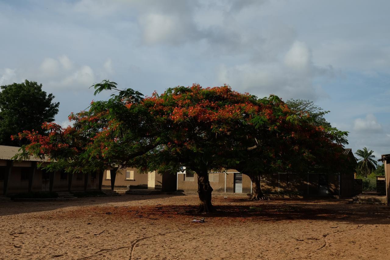 Centre Touristique Et Culturel Casamance Guest House Diakene Ouolof Екстериор снимка