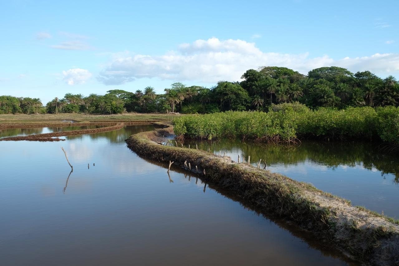 Centre Touristique Et Culturel Casamance Guest House Diakene Ouolof Екстериор снимка