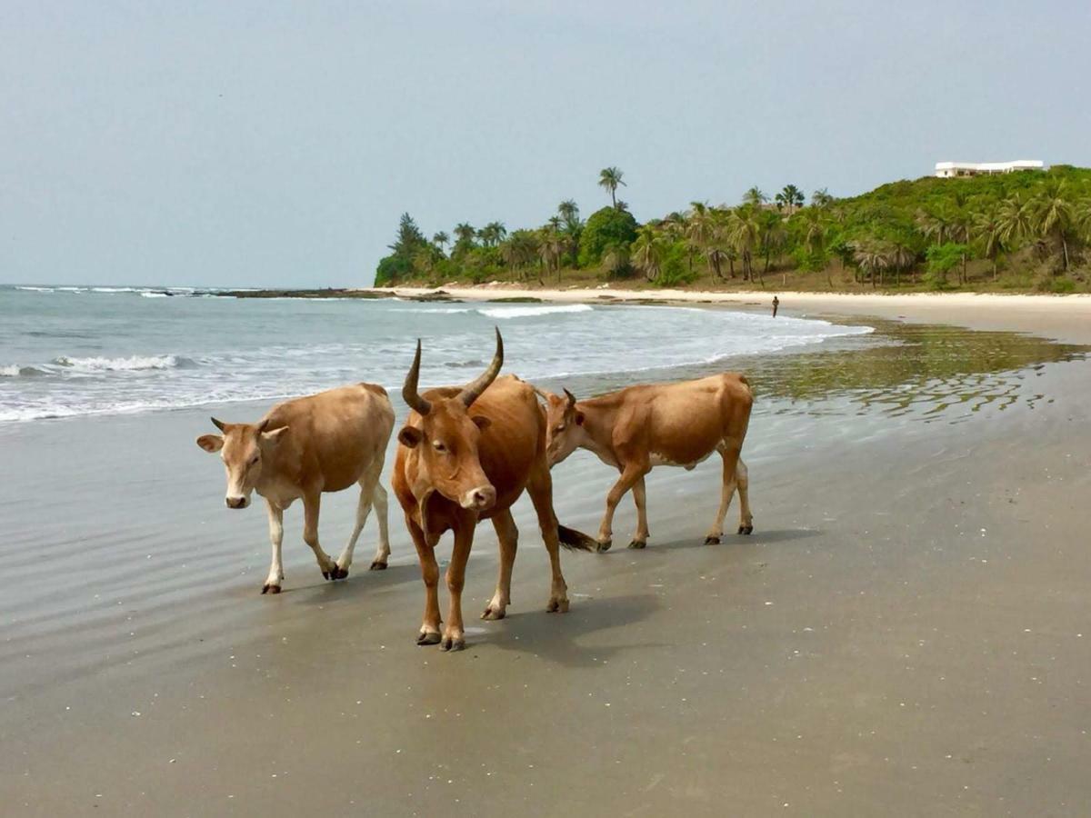 Centre Touristique Et Culturel Casamance Guest House Diakene Ouolof Екстериор снимка