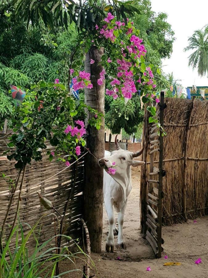 Centre Touristique Et Culturel Casamance Guest House Diakene Ouolof Екстериор снимка